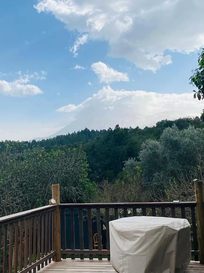 Chalet Eco-Resort Finca Maestra Los Llanos  Spain